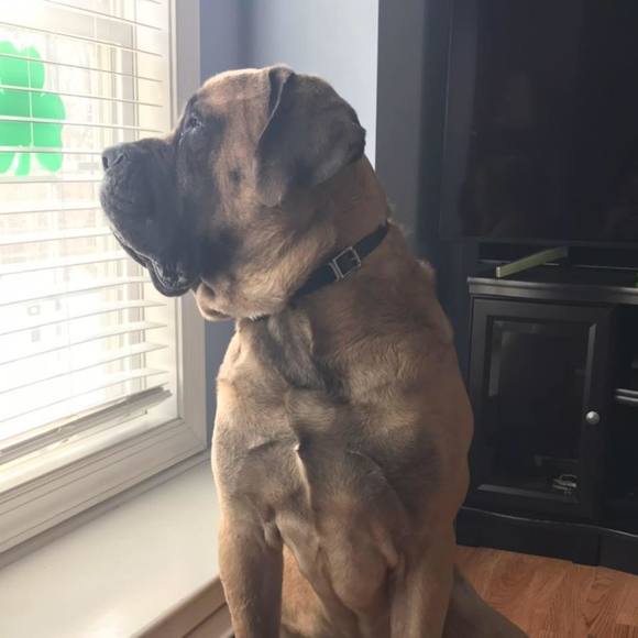 Meet your Posher, Jaime - Picture 1 of 1